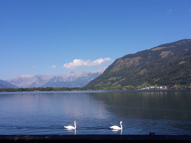 - Haus Wilhelmina - Ferienwohnungen in Zell am See