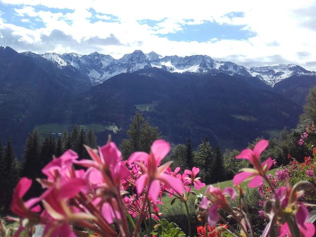 Energieparadies "Palfenhof" Bruck