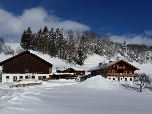 Ferienhaus Widholzhof