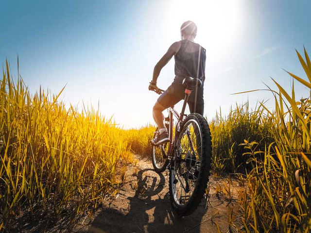 Ferienwohnung Bauer BGL